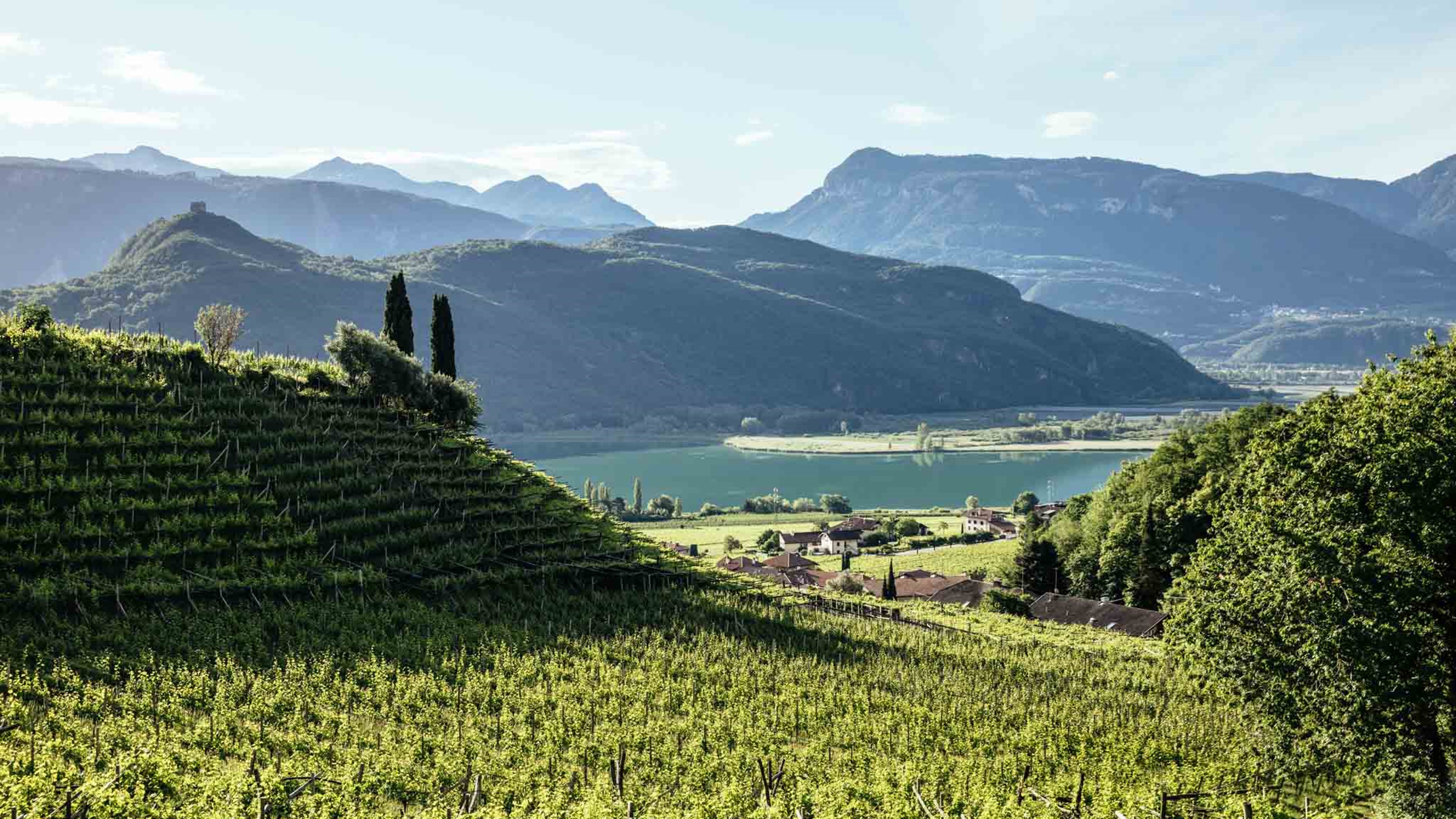 Weinreise nach Südtirol für Genießer - Online